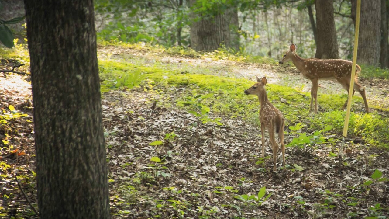 Photo of Others in Brookport