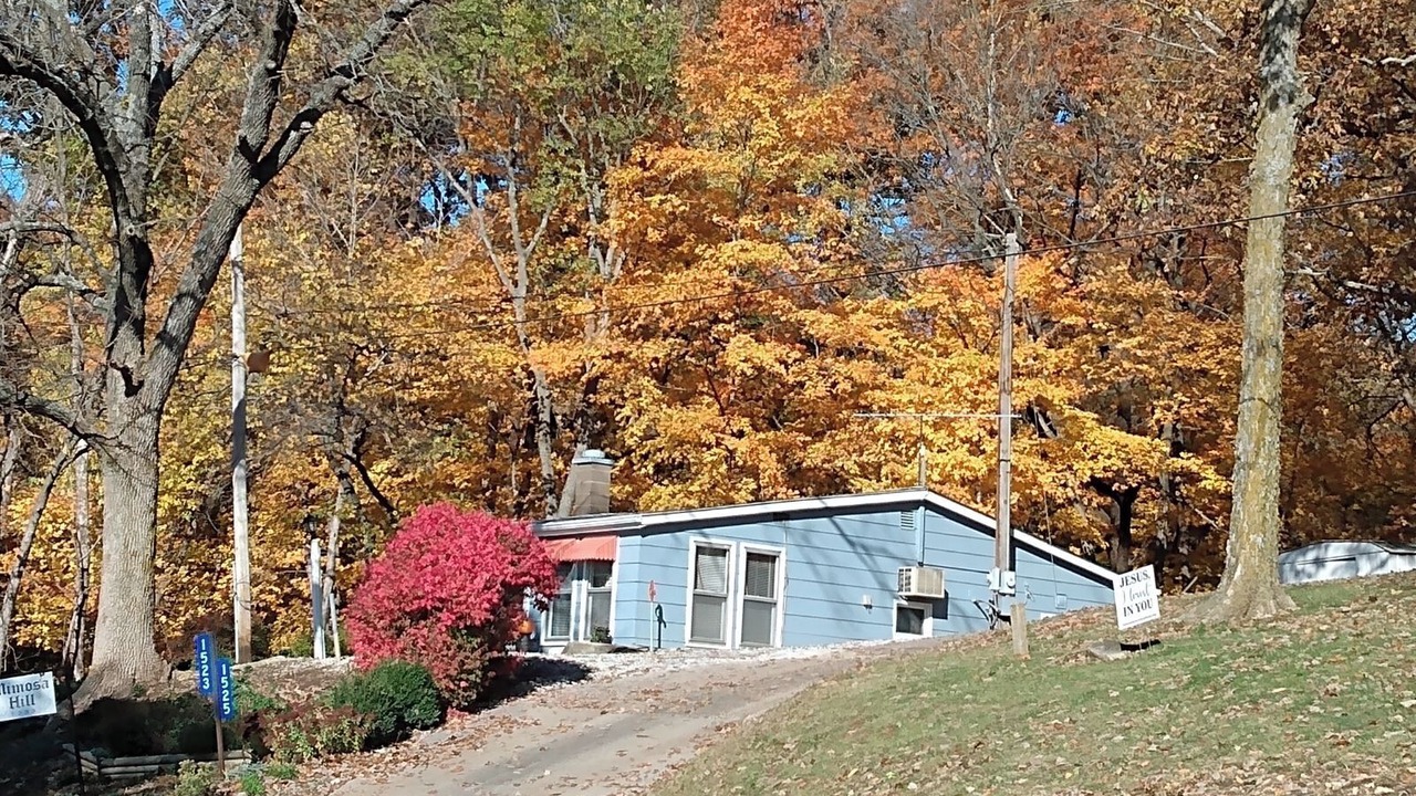 Photo of Outdoor in Hamilton