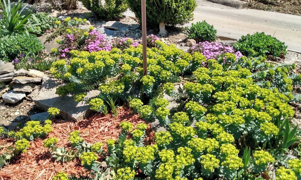 Photo of Outdoor in Hamilton