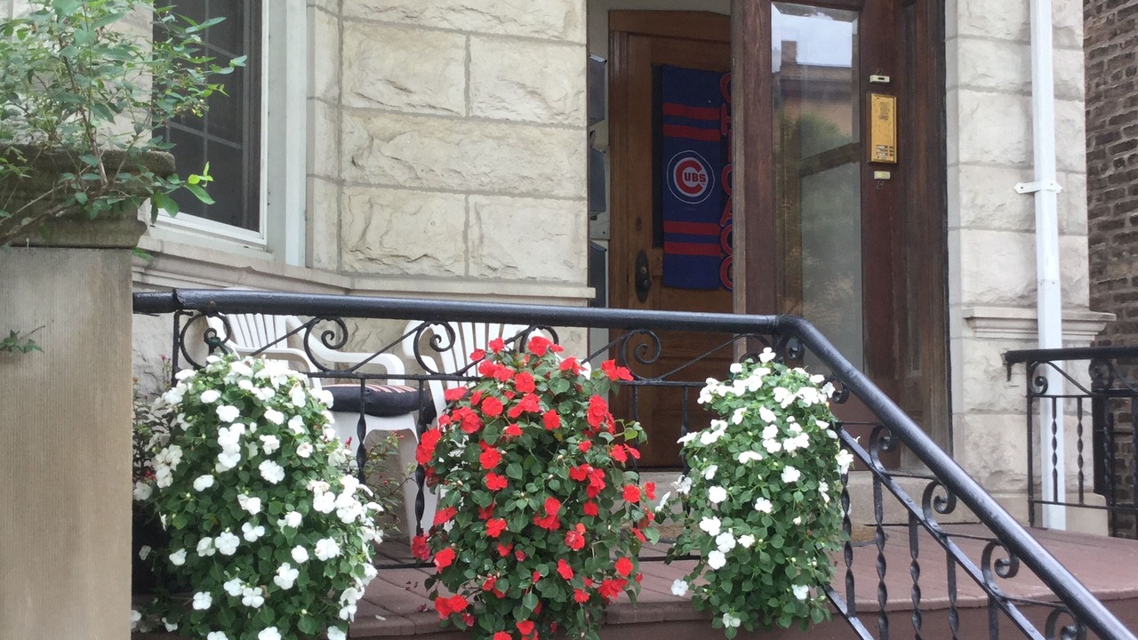 Photo of Others in Wrigleyville