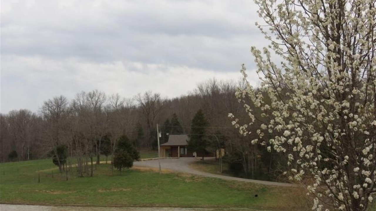 Photo of Others in Buncombe
