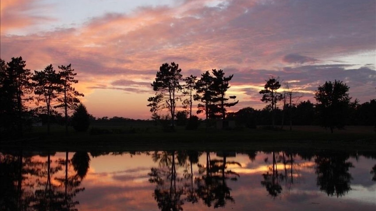 Photo of Outdoor in Millstadt