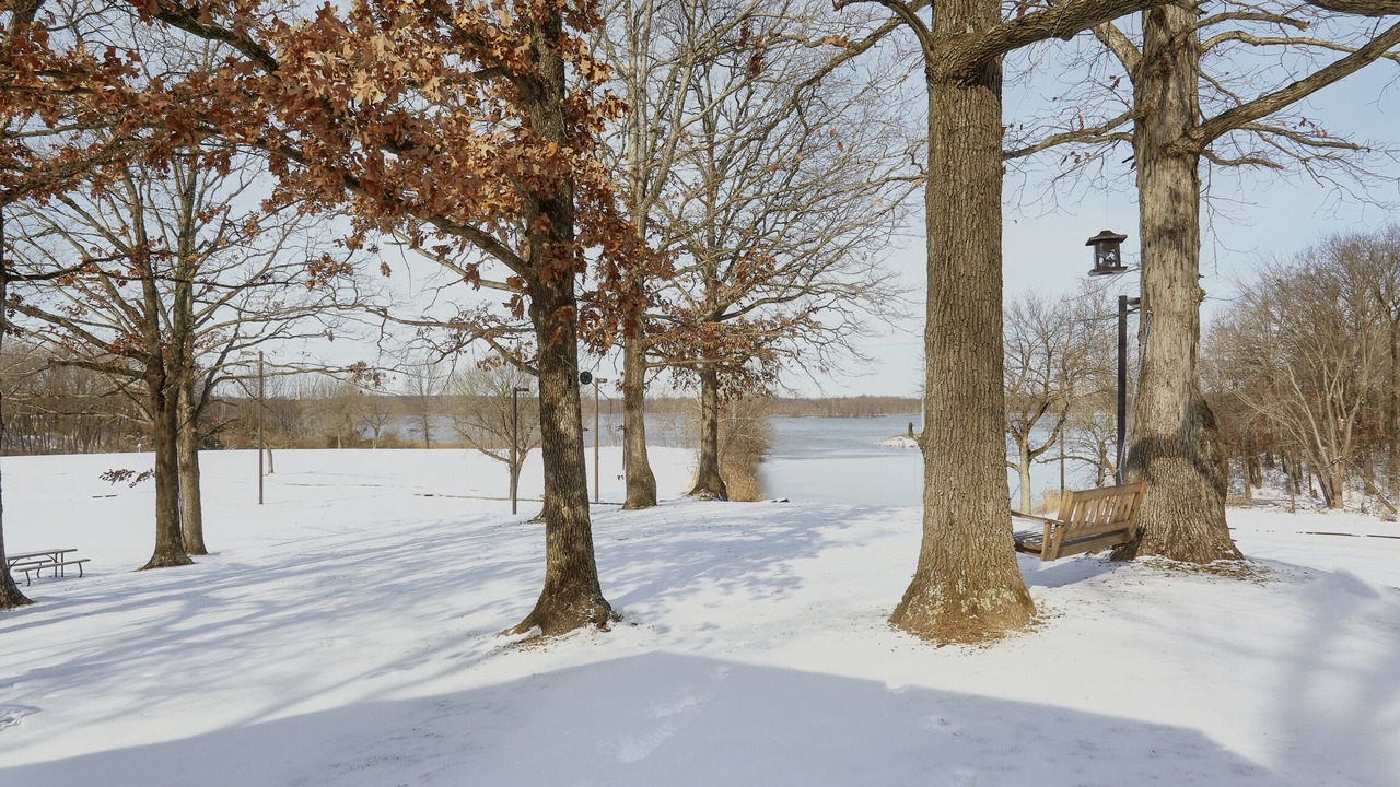 Photo of Outdoor in Whittington