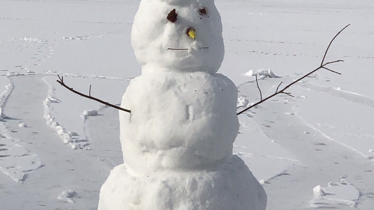 Photo of Others in Solon Mills