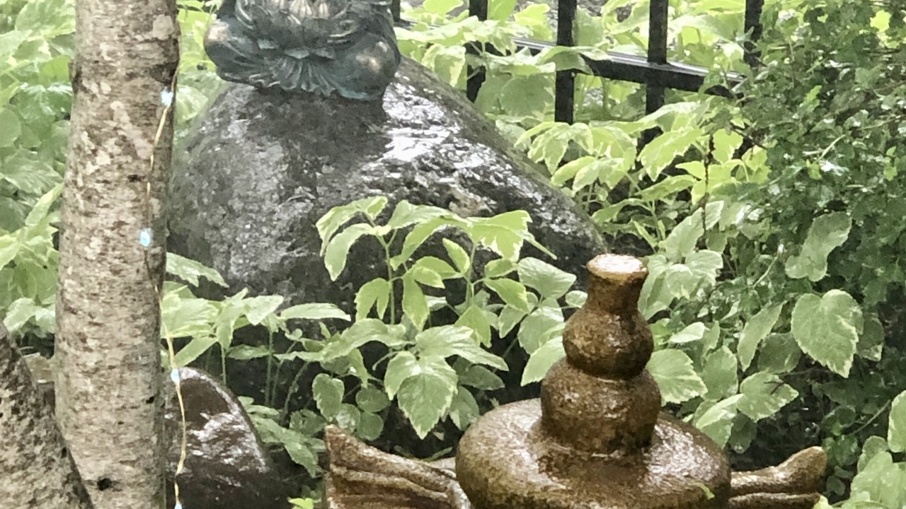 Photo of Outdoor in Solon Mills