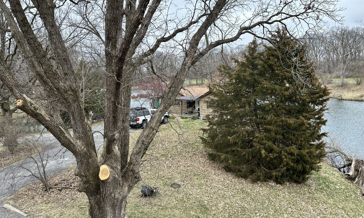Photo of Outdoor in Collinsville