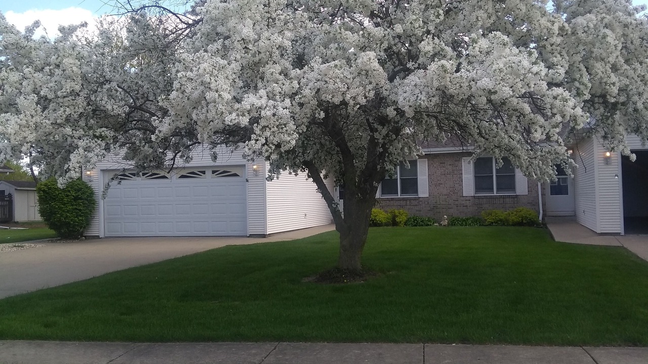 Photo of Others in Manteno