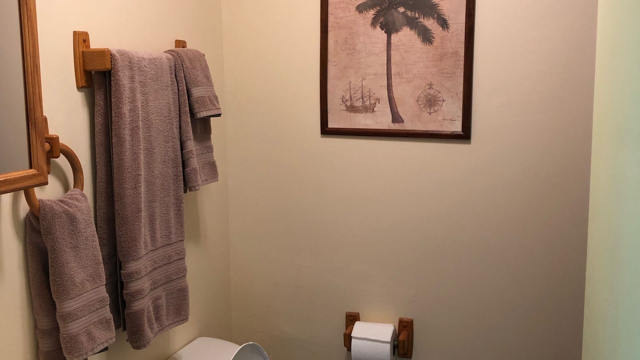 Photo of Bathroom in Galena
