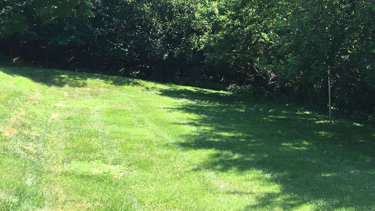 Photo of Outdoor in Galena