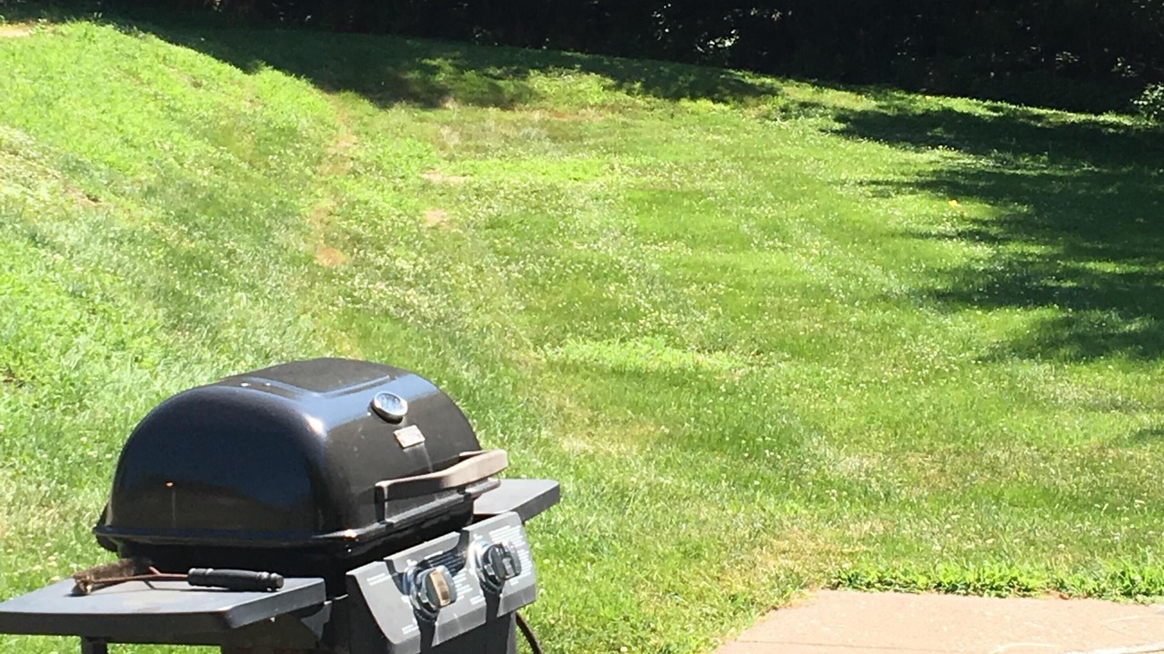Photo of Outdoor in Galena