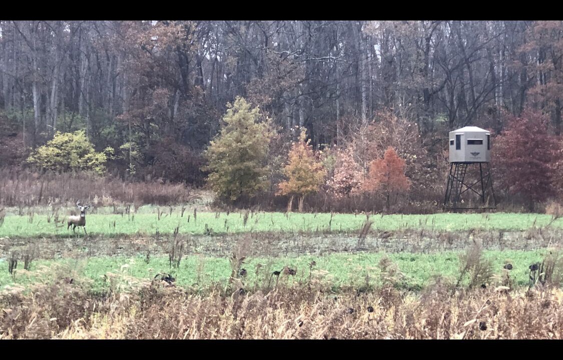 Photo of Others in Girard