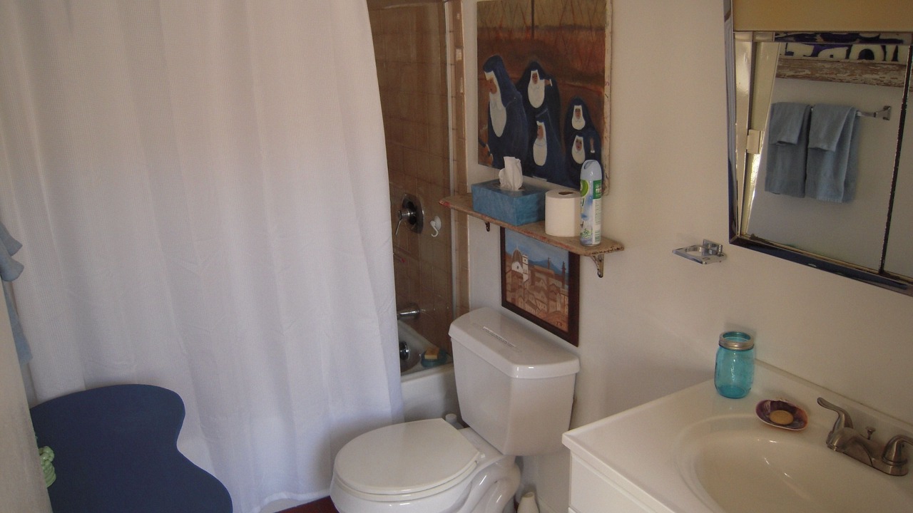 Photo of Bathroom in Rogers Park