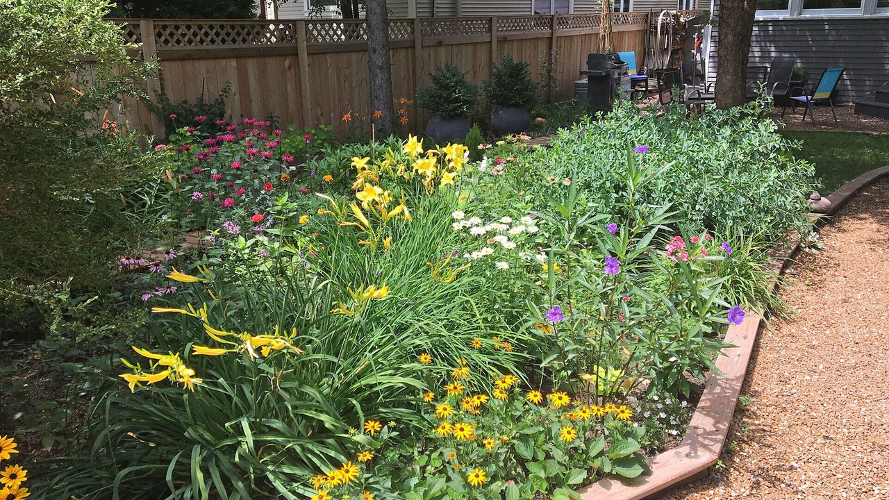 Photo of Outdoor in Evanston