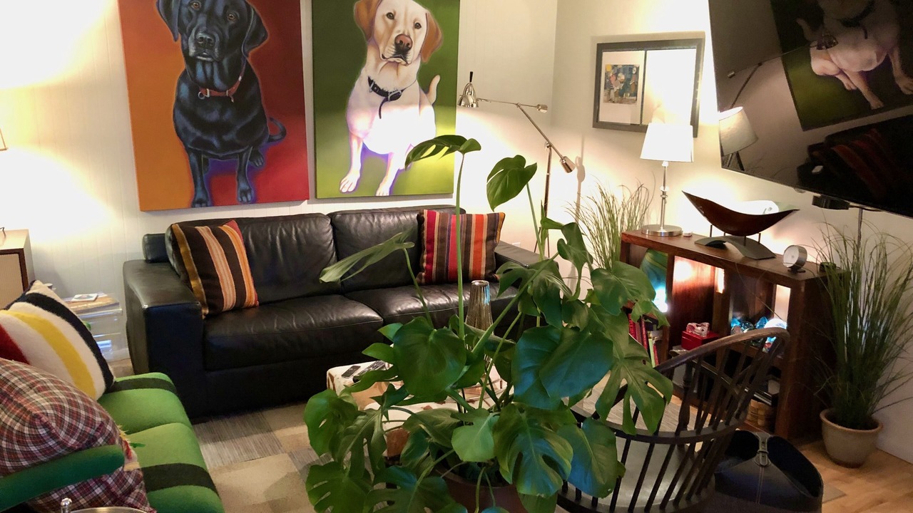 Photo of Livingroom in Cherry Valley