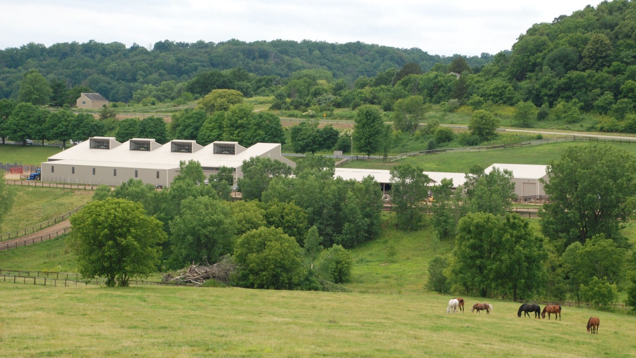 Photo of Others in The Galena Territory