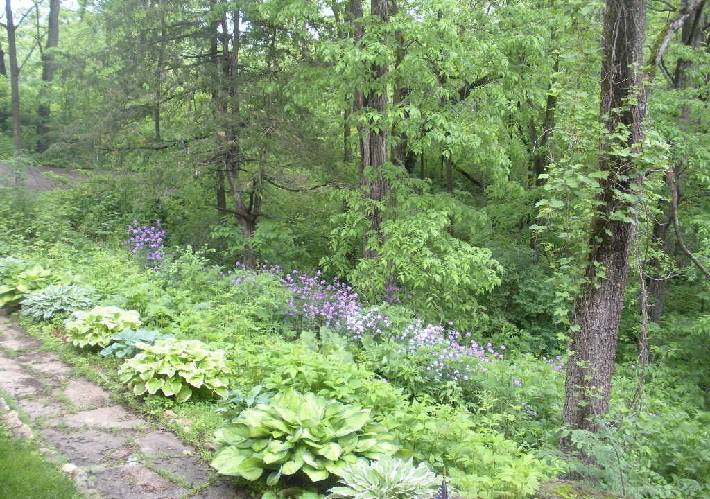 Photo of Outdoor in The Galena Territory