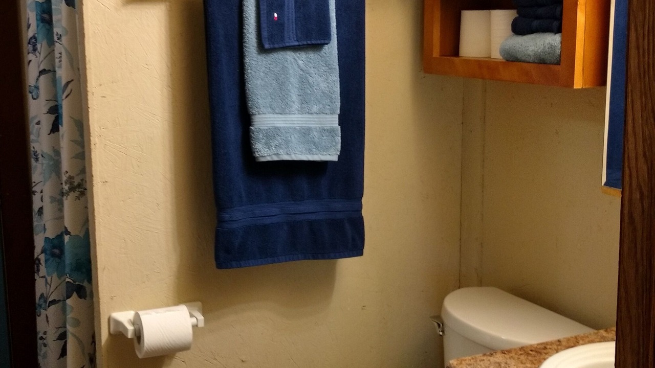 Photo of Bathroom in Golconda
