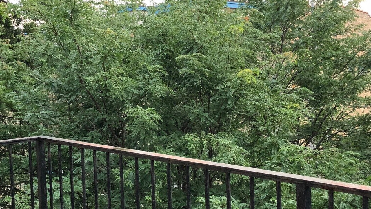 Photo of Others in Wicker Park