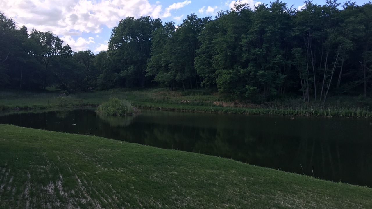 Photo of Outdoor in Nebo