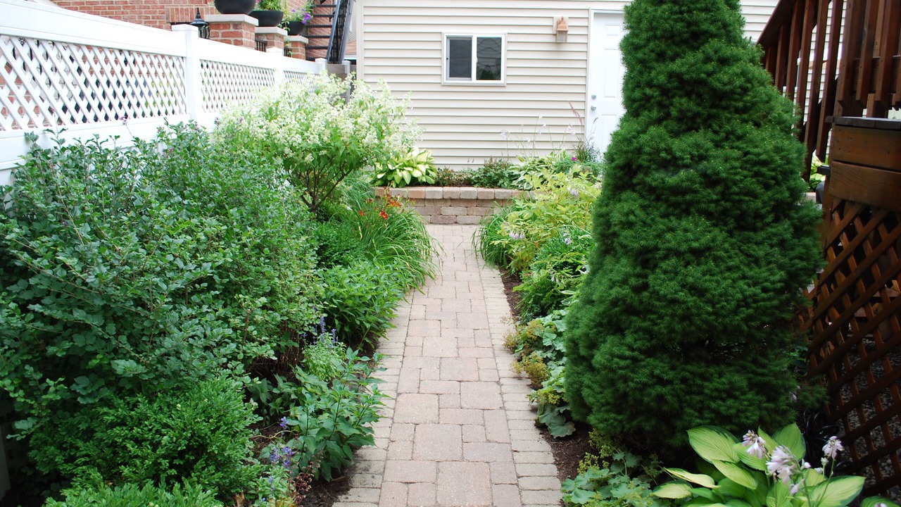 Photo of Outdoor in Roscoe Village