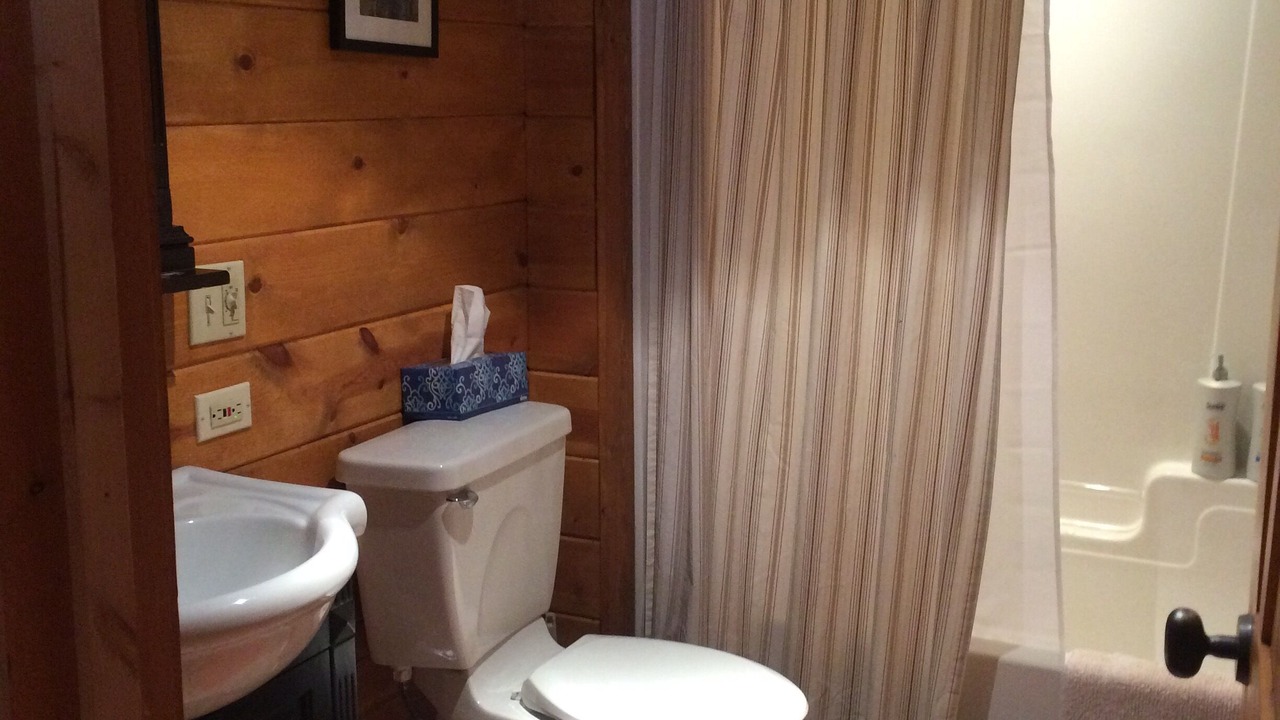 Photo of Bathroom in Apple River