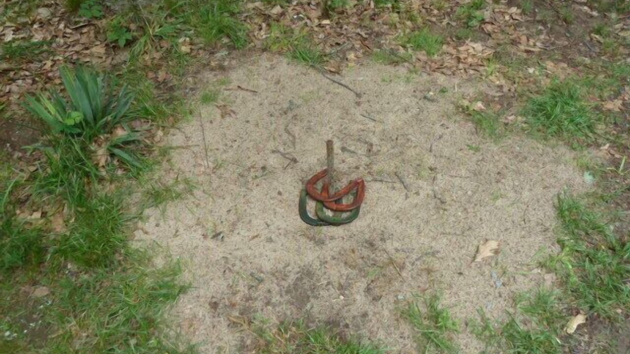 Photo of Others in Carbondale