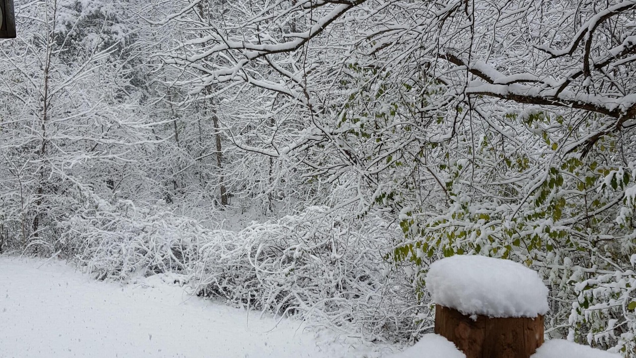 Photo of Patio Balcony in Oglesby