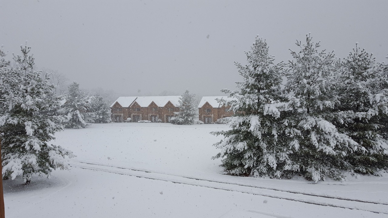 Photo of Others in Oglesby