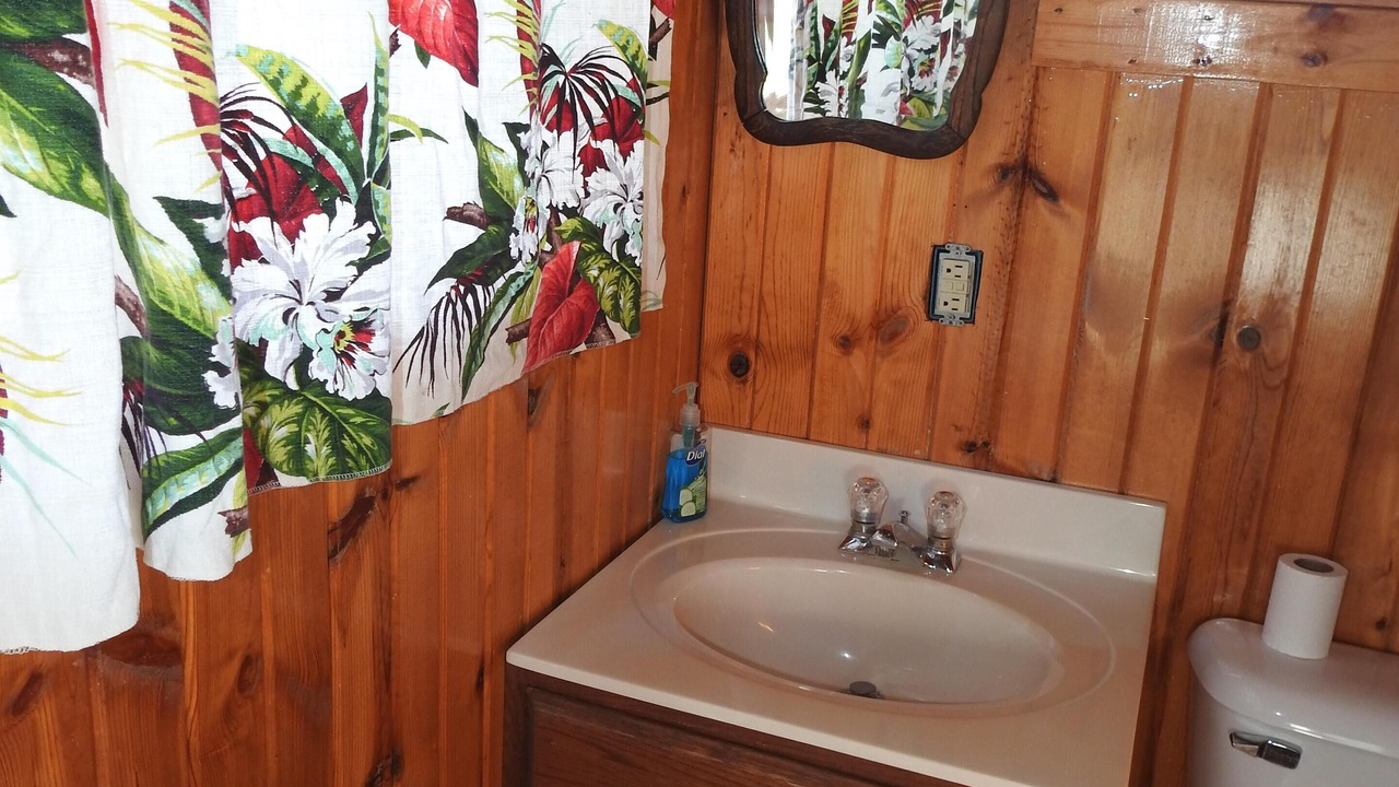 Photo of Bathroom in Carbondale