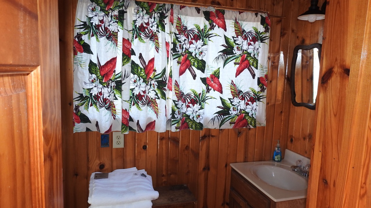 Photo of Bathroom in Carbondale