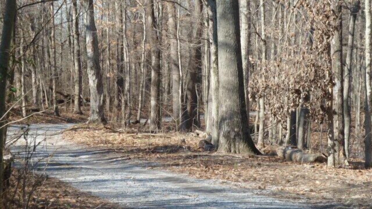 Photo of Outdoor in Carbondale