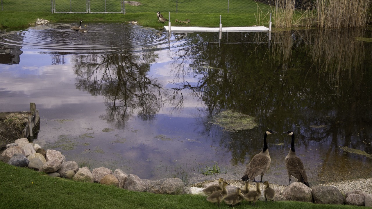 Photo of Outdoor in Antioch