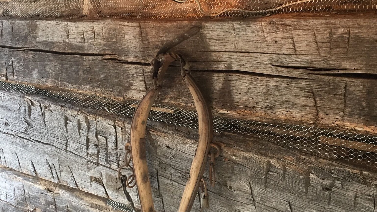 Photo of Outdoor in Nauvoo