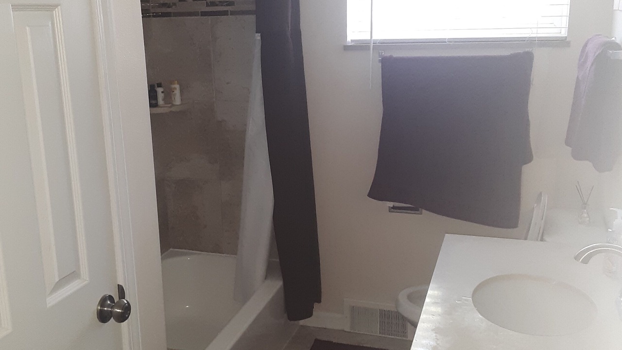 Photo of Bathroom in Breese