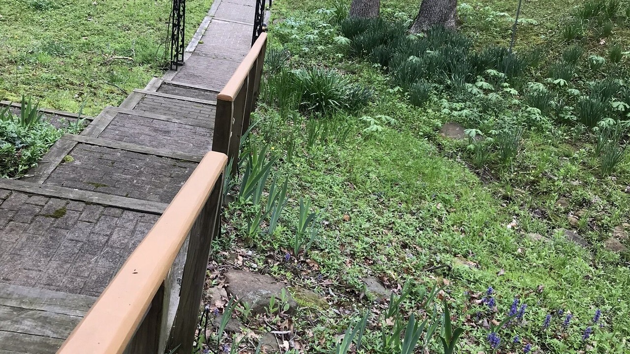 Photo of Outdoor in Goreville