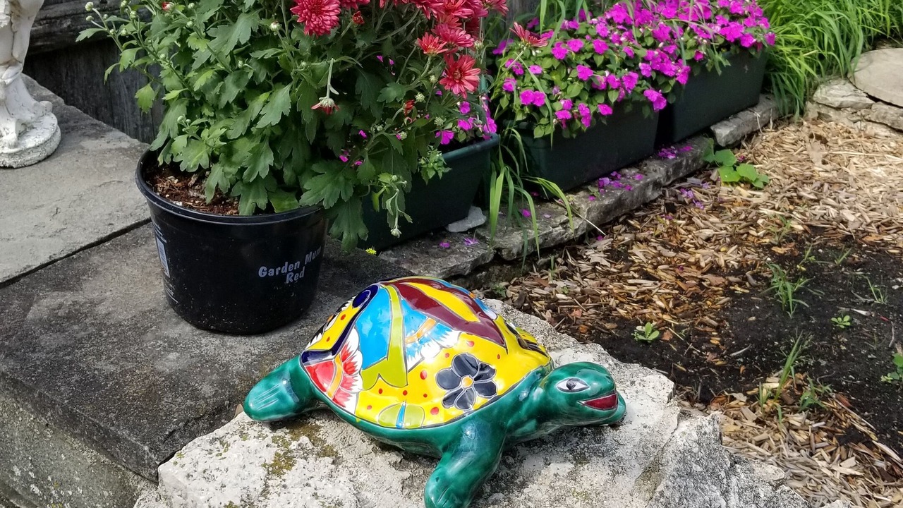 Photo of Outdoor in Highland Park