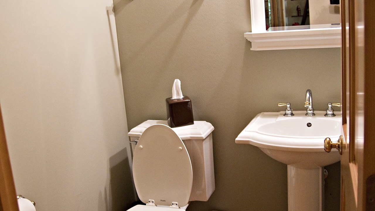 Photo of Bathroom in The Galena Territory