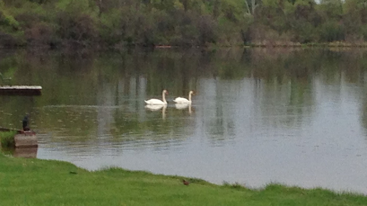 Photo of Outdoor in Ingleside