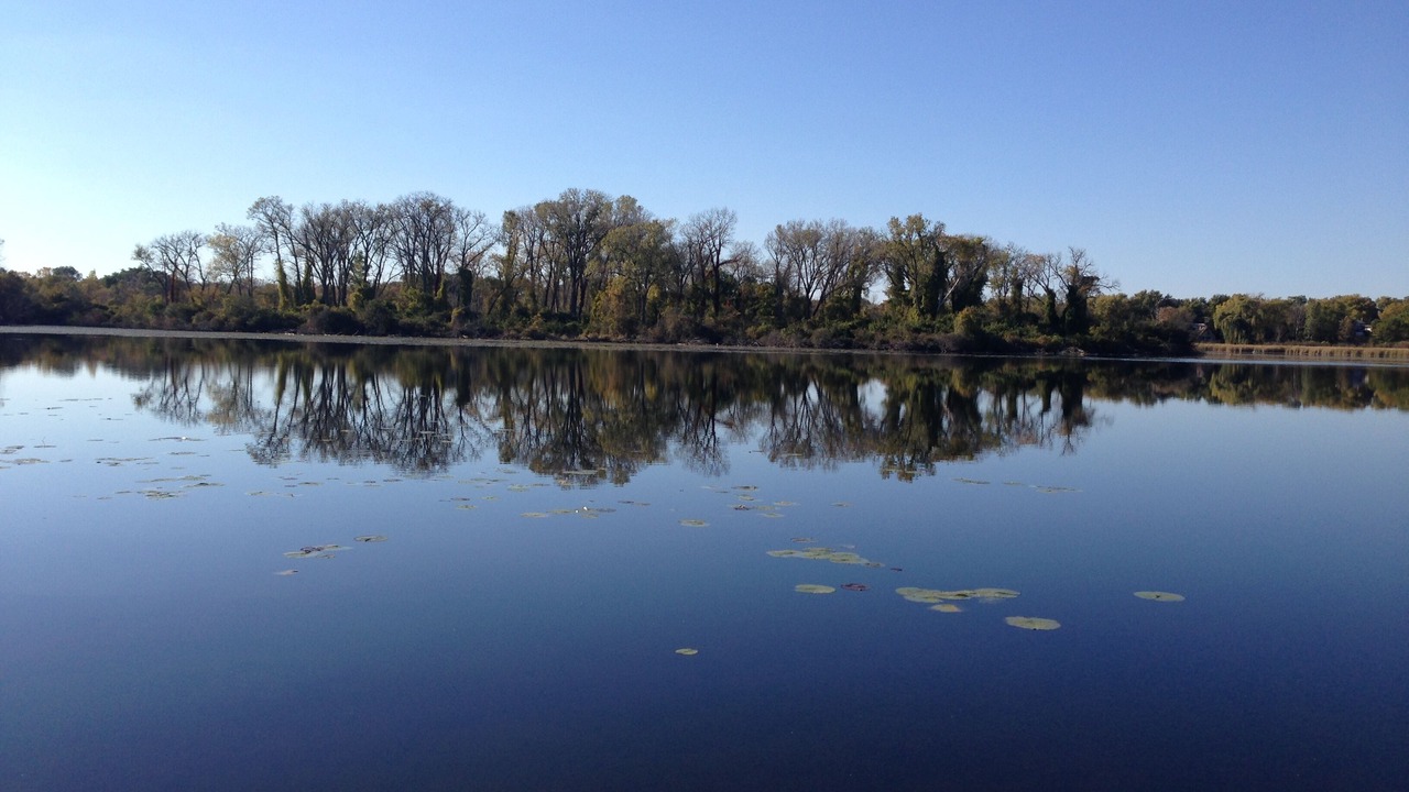 Photo of Outdoor in Ingleside