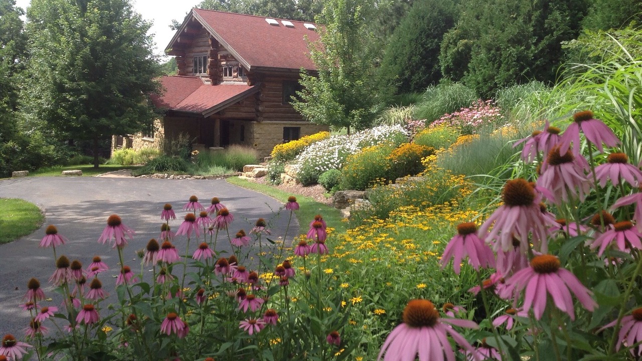 Photo of Others in The Galena Territory