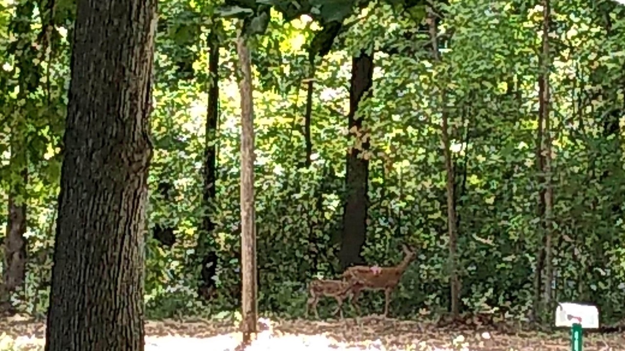 Photo of Others in Ellsworth