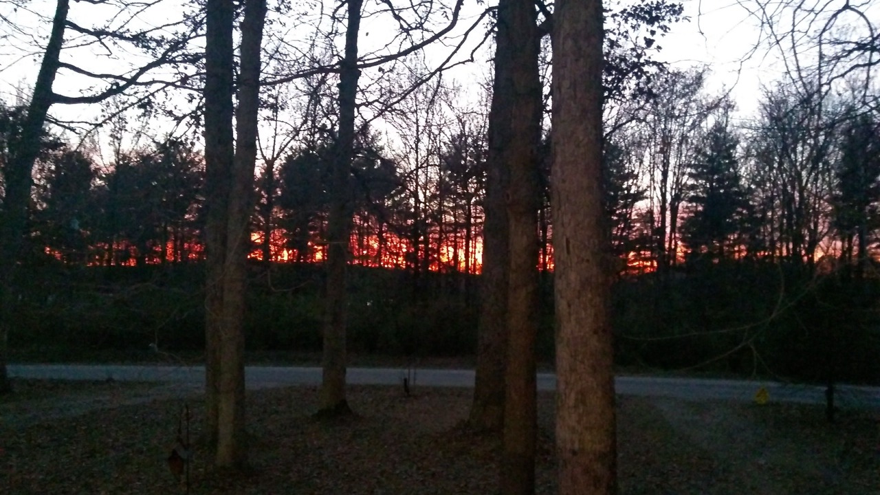 Photo of Outdoor in Ellsworth