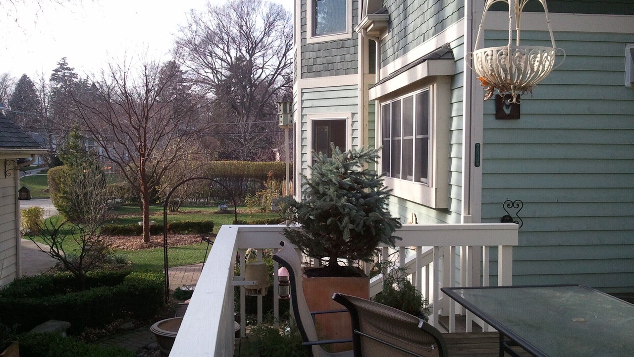 Photo of Outdoor in Glen Ellyn