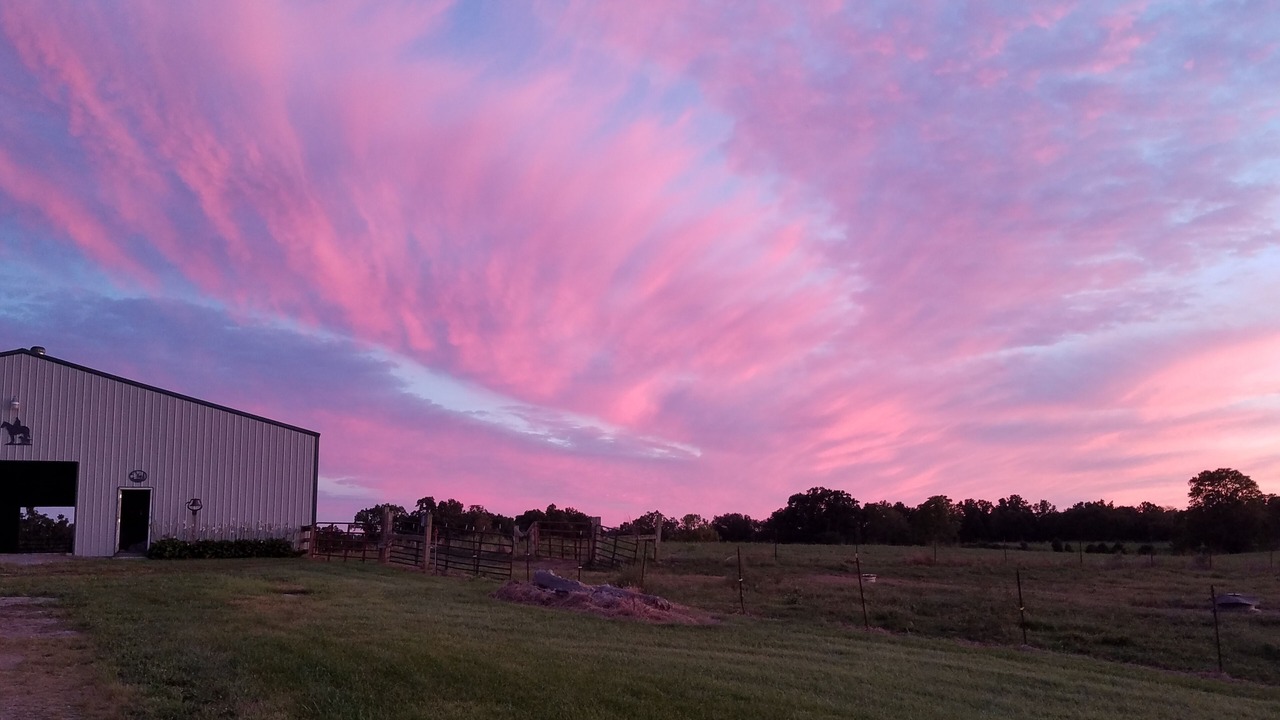 Photo of Outdoor in Cobden