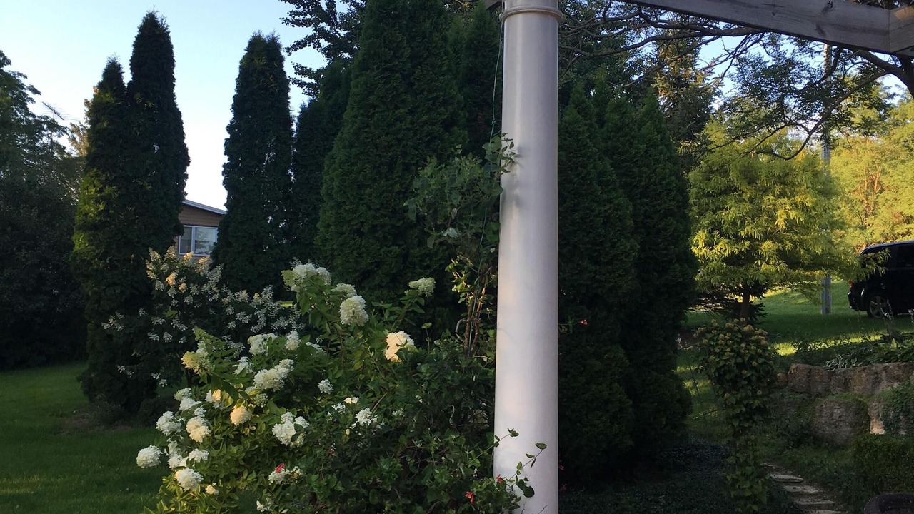 Photo of Outdoor in Elizabeth
