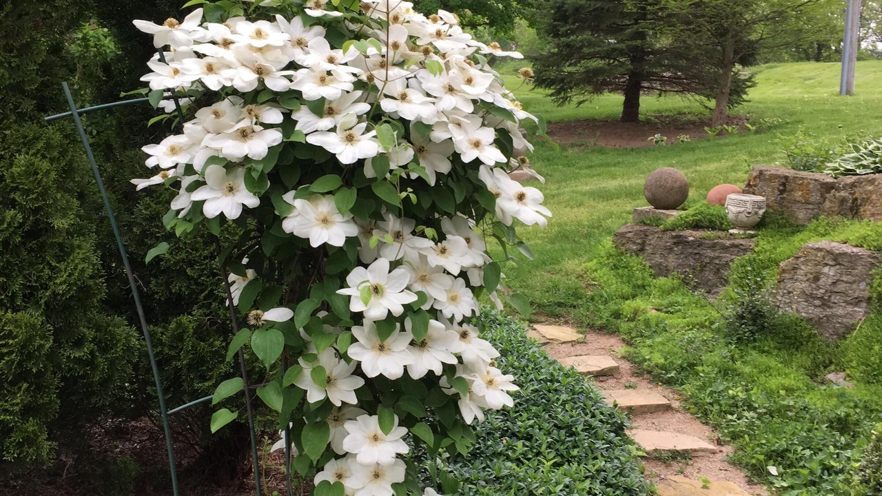 Photo of Outdoor in Elizabeth