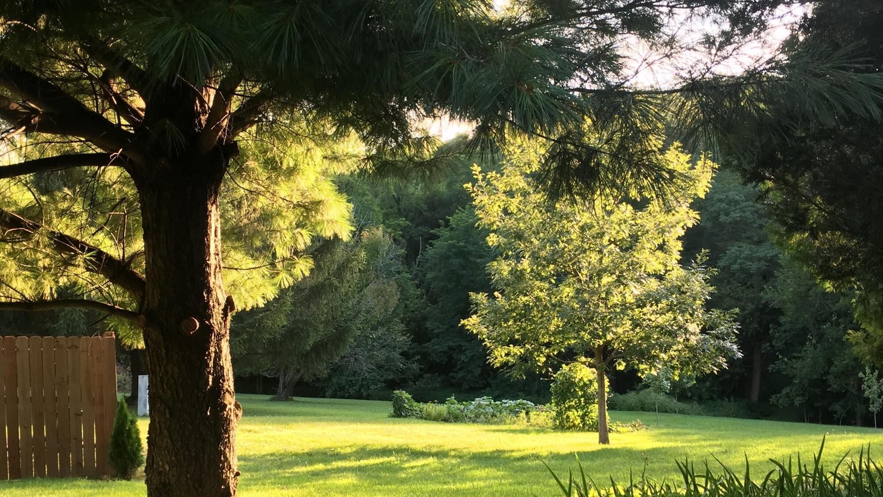 Photo of Outdoor in Elizabeth