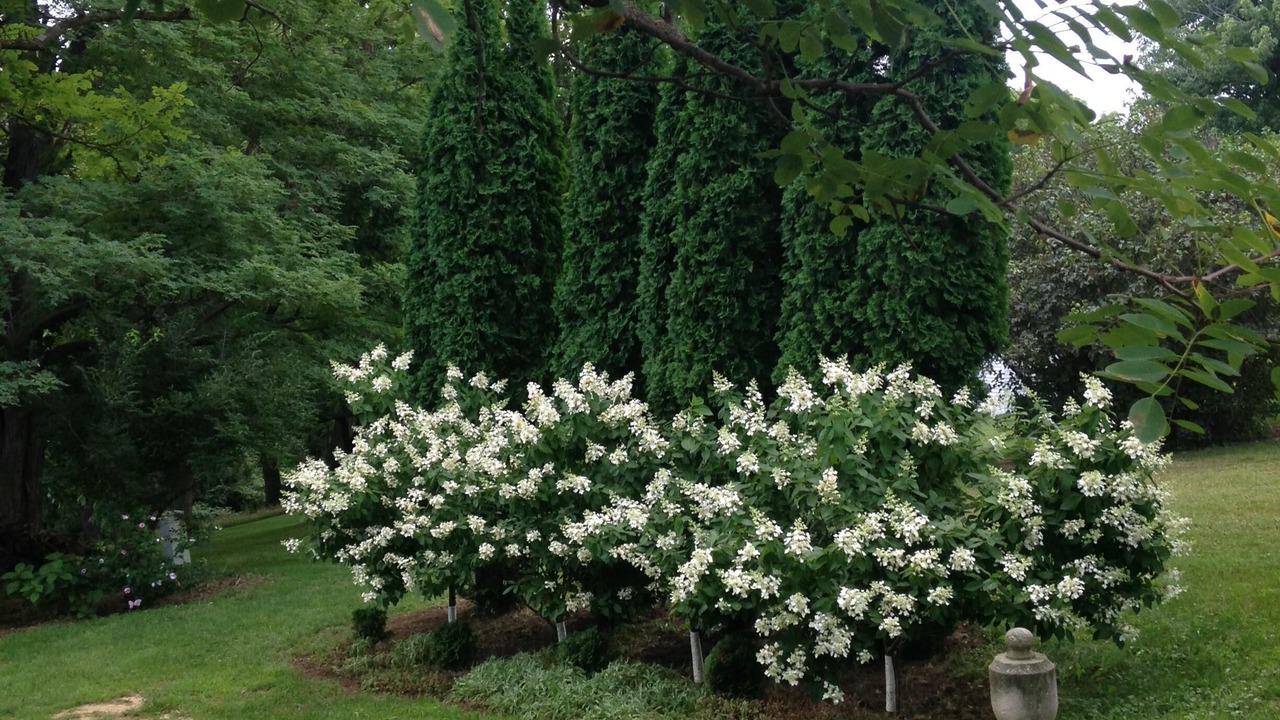 Photo of Outdoor in Elizabeth
