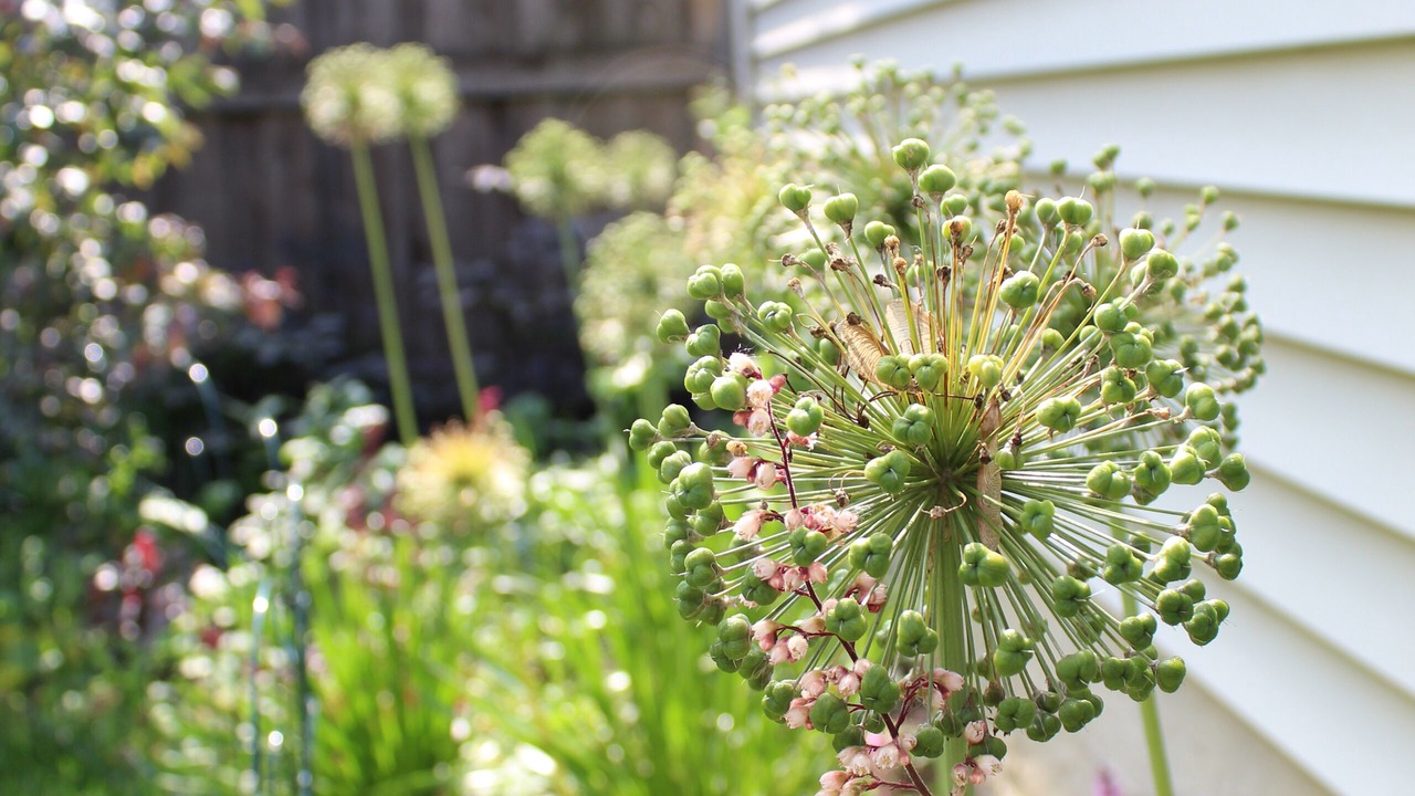 Photo of Outdoor in West Bucktown