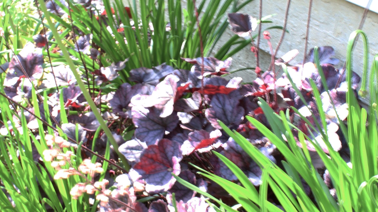 Photo of Outdoor in West Bucktown